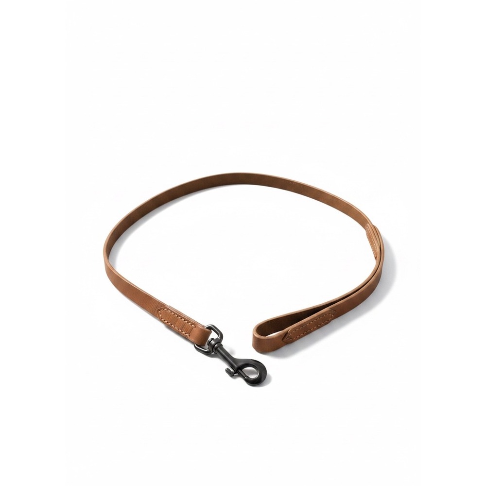 Hamilton Products 4ft Floral Embossed Leather Dog Leash 3/4"‎ Tan Durable NEW
